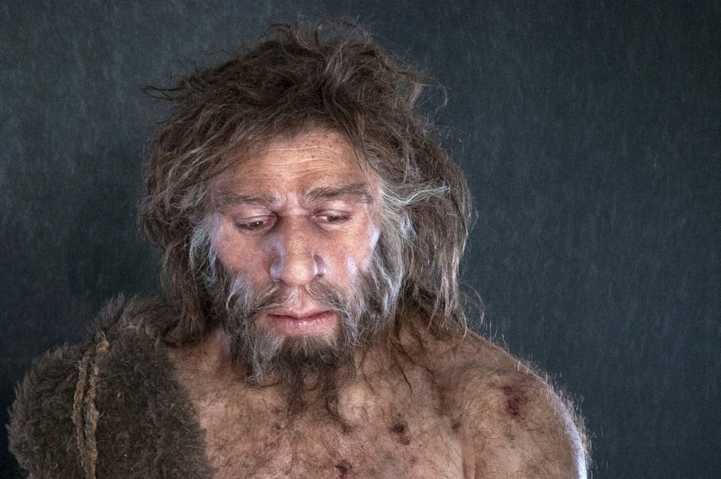 We are All Neanderthals