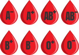 Blood