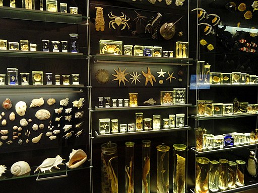 The Politics behind Science