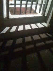 Chapter 4.4 Diffraction of light (Physical Optics)